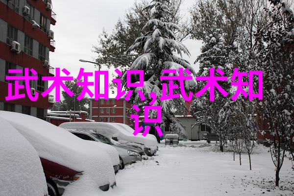 胡新朝探秘腰胯关系解锁中国功夫秘籍大全