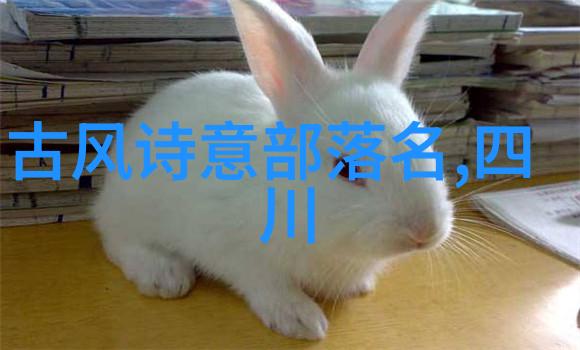 自学武术的你太极拳练习如同一场连续弓步的奇幻舞蹈每一步都在空中飞跃每个动作都能感受到内力翻涌让你的身
