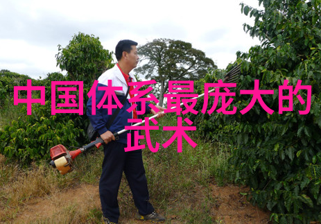 神秘之谜古龙四大绝世神功的传说始末