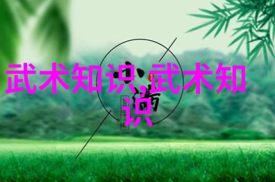 儒雅拳风中国意拳在社会的舞台上展现其魅力