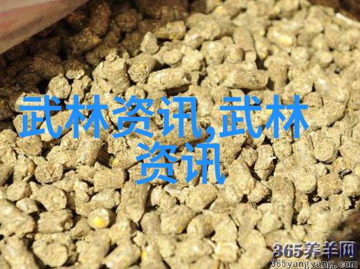 道韵古今道藏宗门的心法与探索
