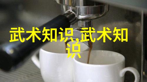 普通人练武功的秘诀从入门到精通的实用指南