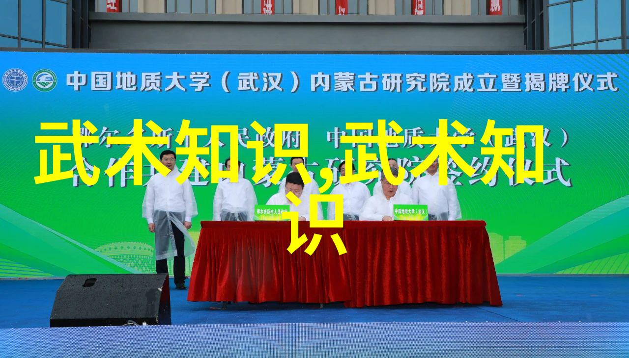 拳道双雄南拳与华拳哪路更胜一筹