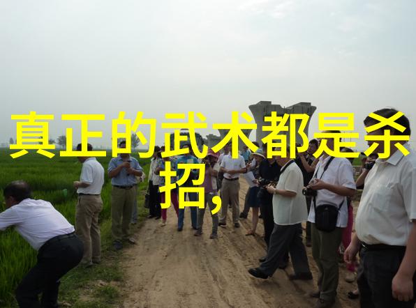 武学秘籍掌握拳法十六招式的艺术之道