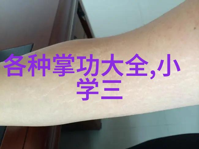中国武术艺术传统武术技巧与现代应用