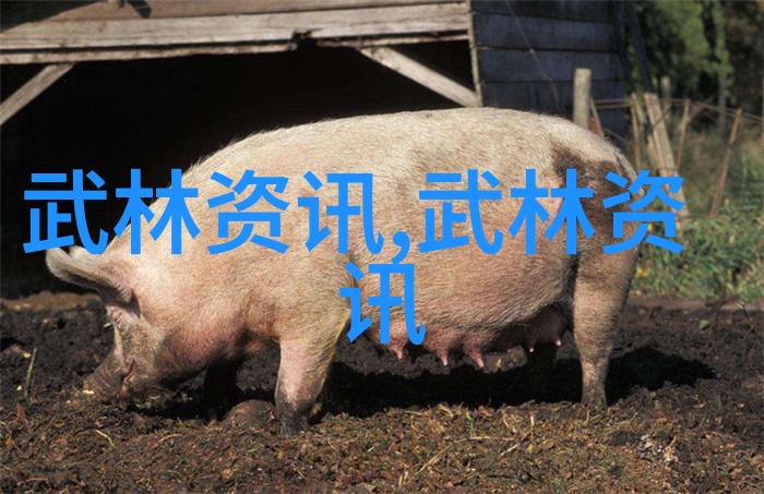 音韵和谐设计一个完美的古风家族名字指南