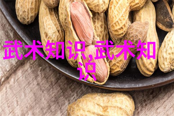 武术知识宝库揭秘中华武学的奥义与艺术
