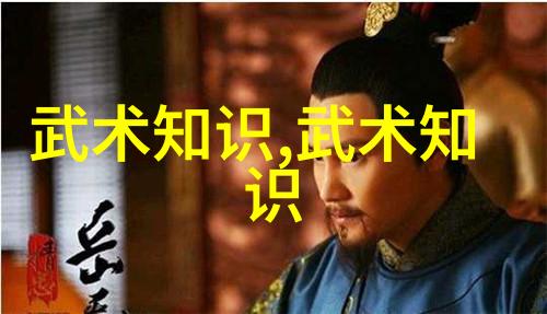 数据驱动武术修炼境界划分大全 - 杨志英解读偏沉与双重的秘密