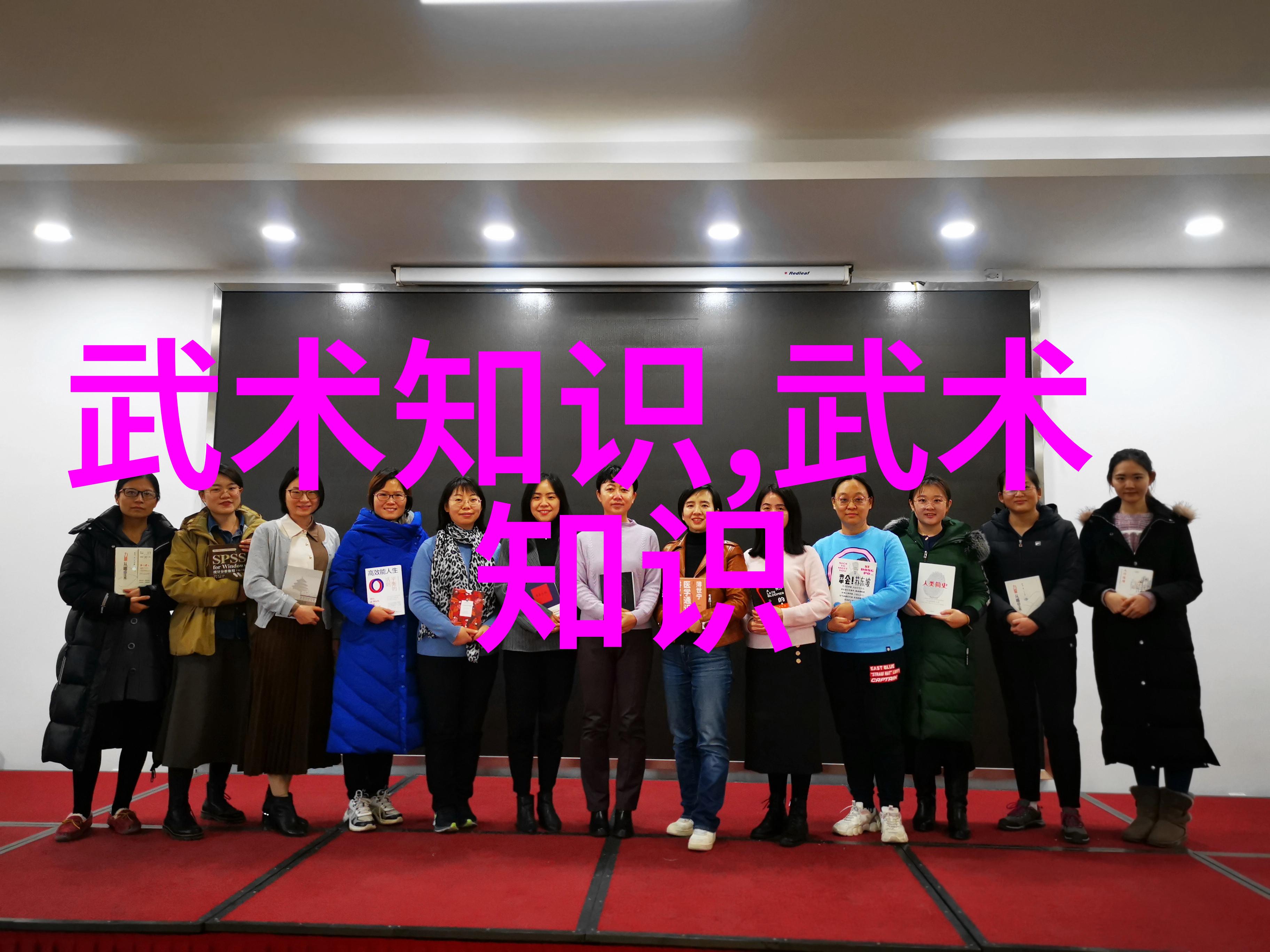 武术秘籍掌握拳法十六招式的艺术与奥秘