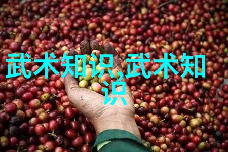 剑指天穹古籍武功秘诀
