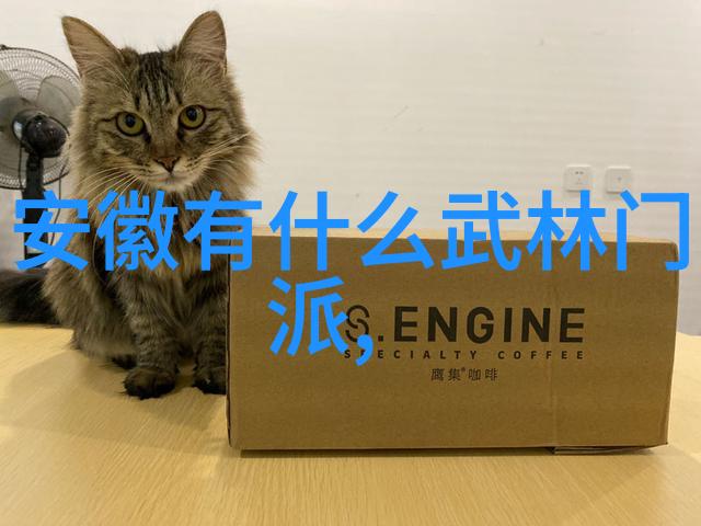 形意拳在现代武术中的地位与挑战