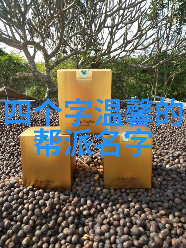 揭秘武林秘籍真正武功之道