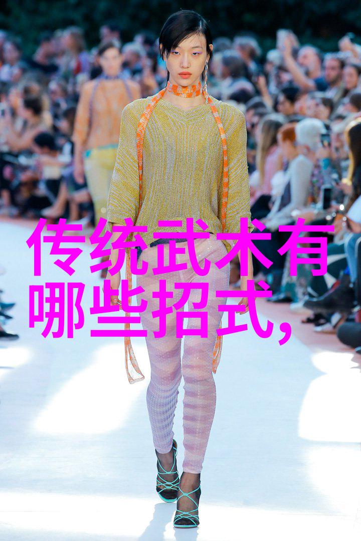 中华武林宝库揭秘十大拳法之冠