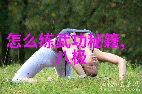 绝世神功全集探索中华武术宝库