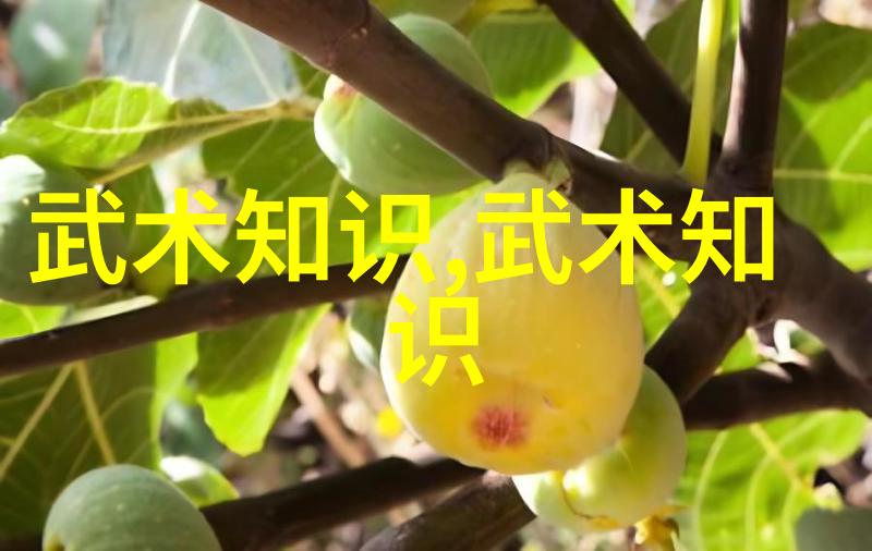 反复探究鲋鱼之谜提高钓鱼技巧让咬钩的概率大增看破红尘