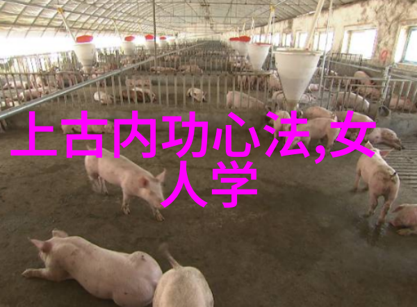 江湖八大门派实力对比武林至尊的争锋