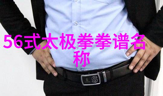 经典与创新追踪那些影响了现代格斗艺术的古老中华武术风范