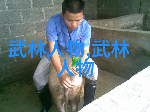 男人眼中的女人武功好-剑舞轻盈男人眼中女人武功的迷人魅力
