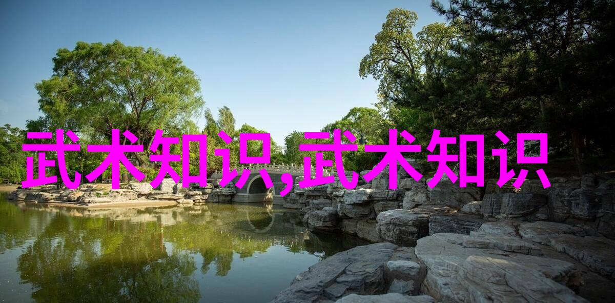 武功秘籍网我是如何在网上找到了改变命运的修炼指南