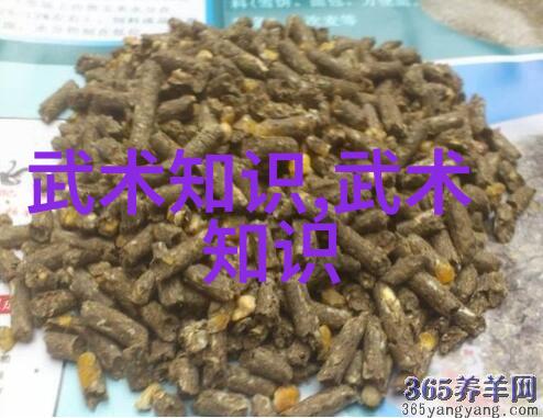 仙气飘飘的家族名字我家的那一串古怪名字是怎么回事