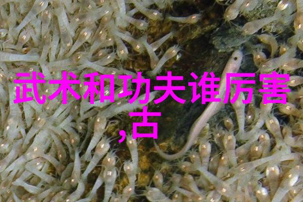 太极拳24式自学图解 - 掌握内外八卦太极拳24式图解指南