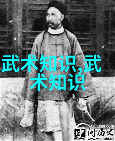 武林秘笈剑锋与拳影的双重奏鸣