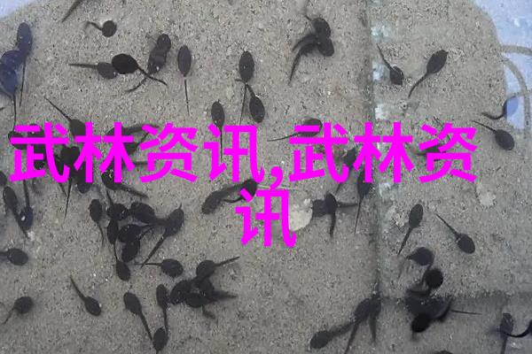 探索中国武术十大门派的精髓
