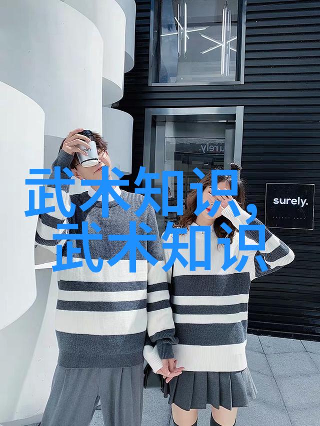 武学秘笈隐世传承与内心修炼