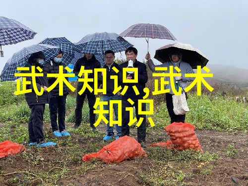 传统与创新的融合如何从经典书目中获得独特的自我防御技巧