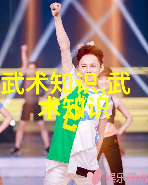 中国功夫门派实战排名-江湖中的铁拳揭秘中国功夫门派实战排名