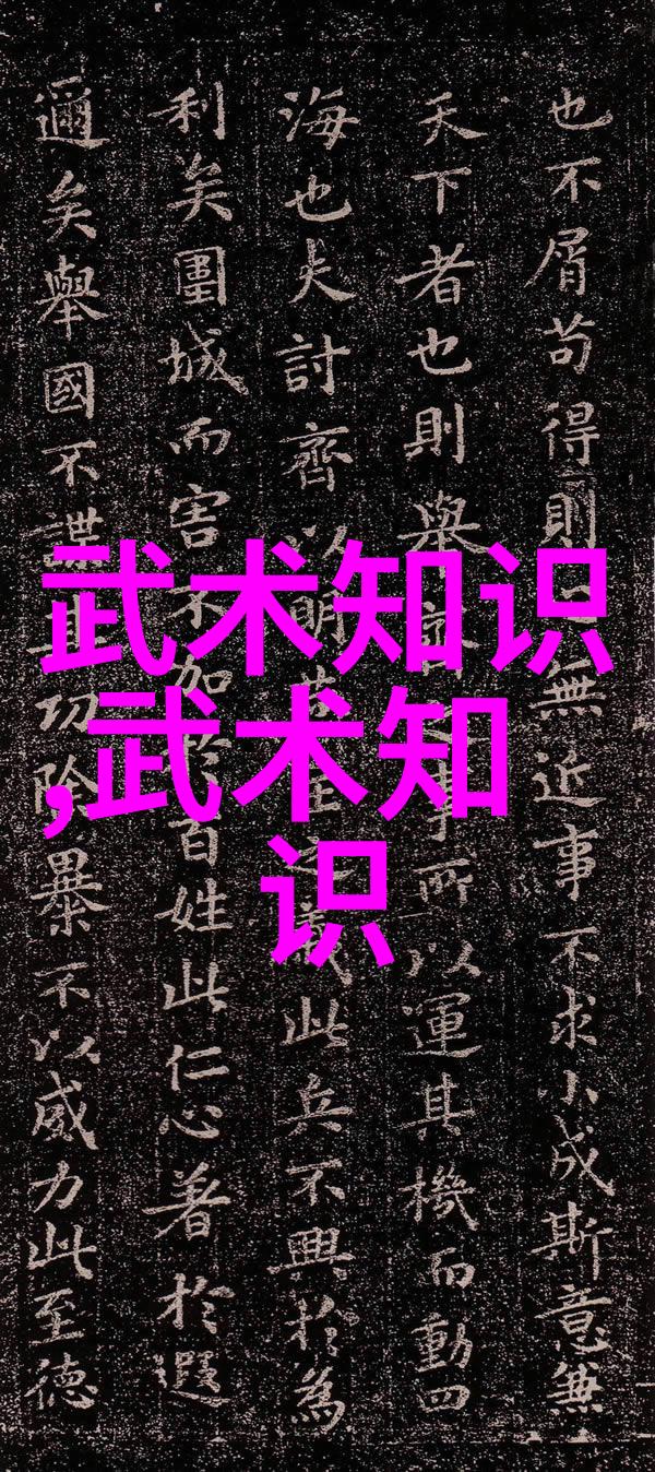 古代武功秘籍太极拳推手走黏法十二例张宝银指南