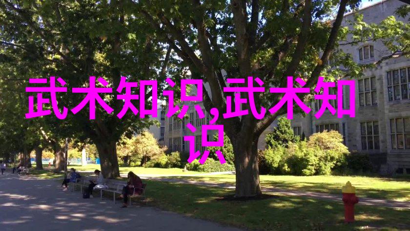全国武术门派有哪些-探秘中华武林揭秘各大门派的传统与风范