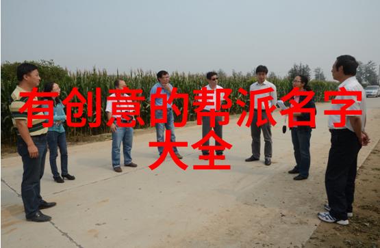 从零到英雄中国功夫秘籍大全教你怎么开始