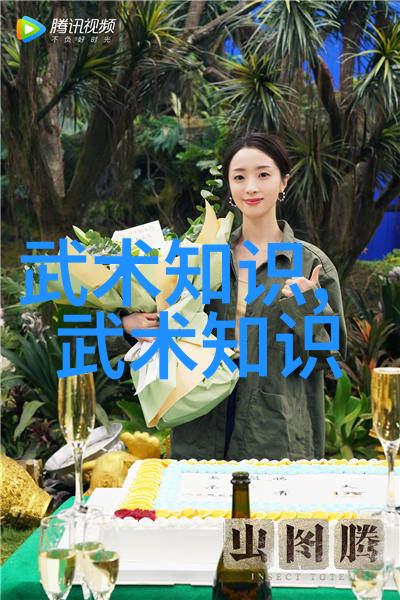 兵法智慧如何在战场上应用六个字武功