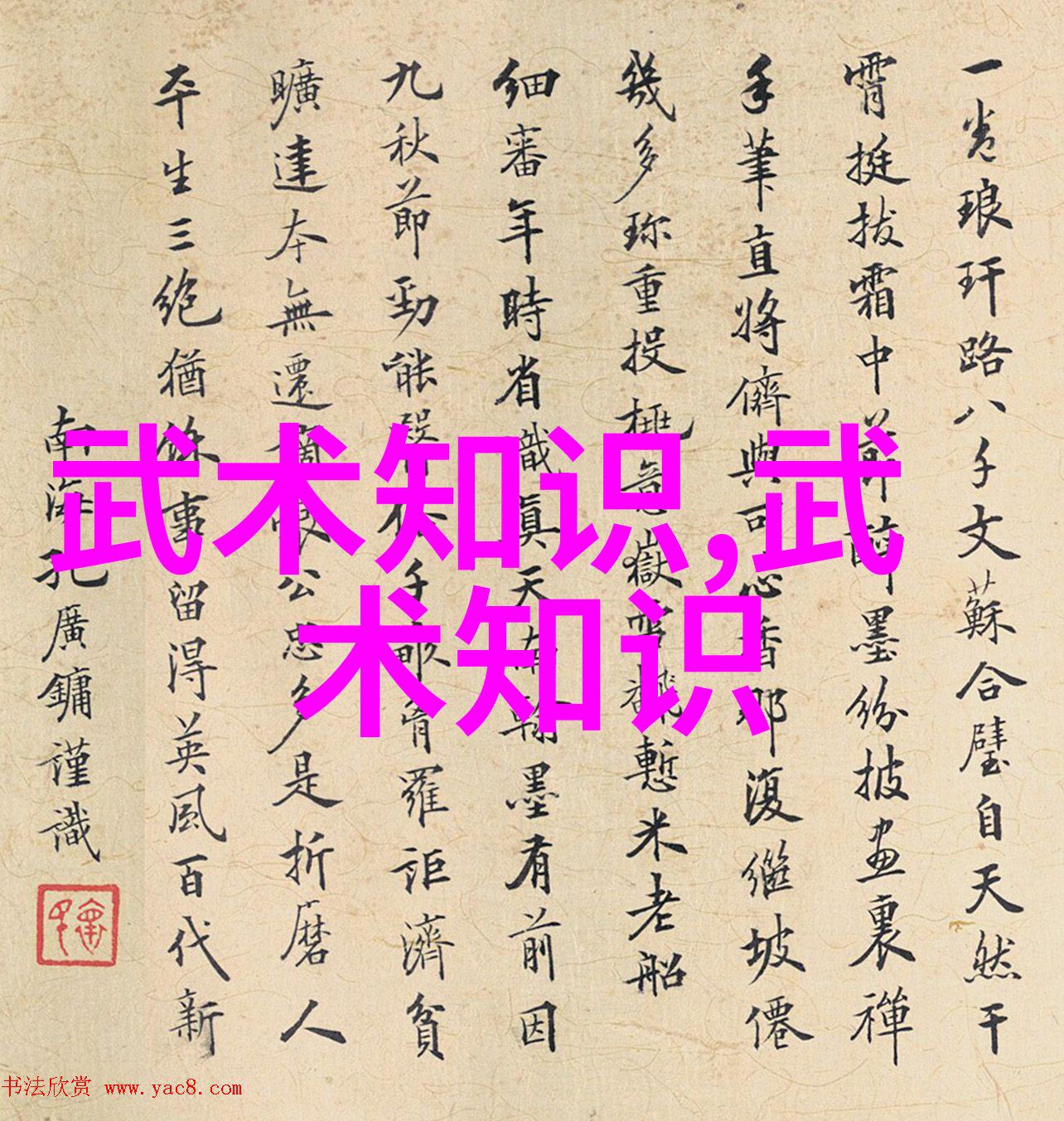 武术初学者的第一步揭秘修炼之路的起点