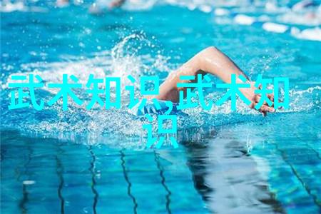 太极功夫秘籍揭秘内丹法则与柔韧身法