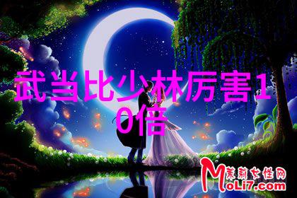 天外飞仙 卫风云端游侠与忘返之谜
