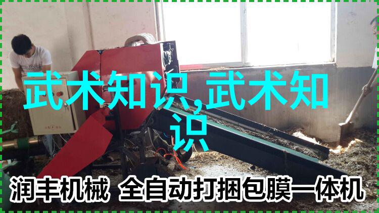 太极拳之美48式全套视频带口令的艺术魅力探索