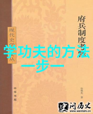 武林中最为实战性十大武术究竟是什么探秘真正的打斗技巧