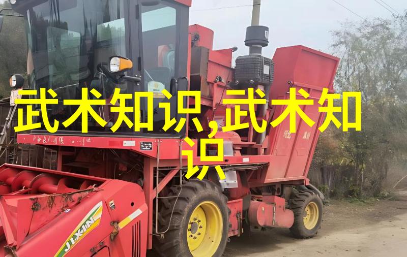 内功修炼秘籍揭秘武林高手的修为之道