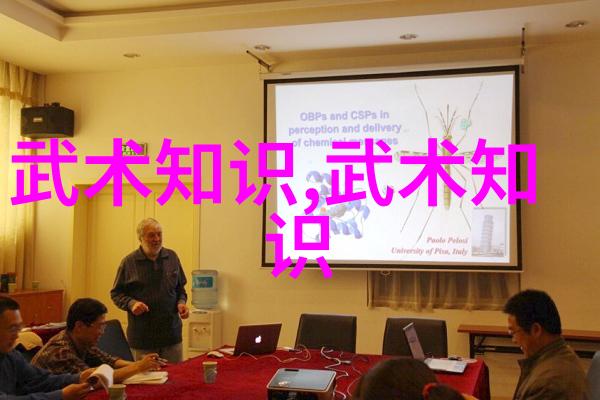 拳法大比拼哪种拳法更胜一筹