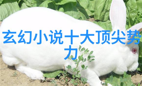 宋朝时期哪种武术因其灵活性和速度而备受青睐