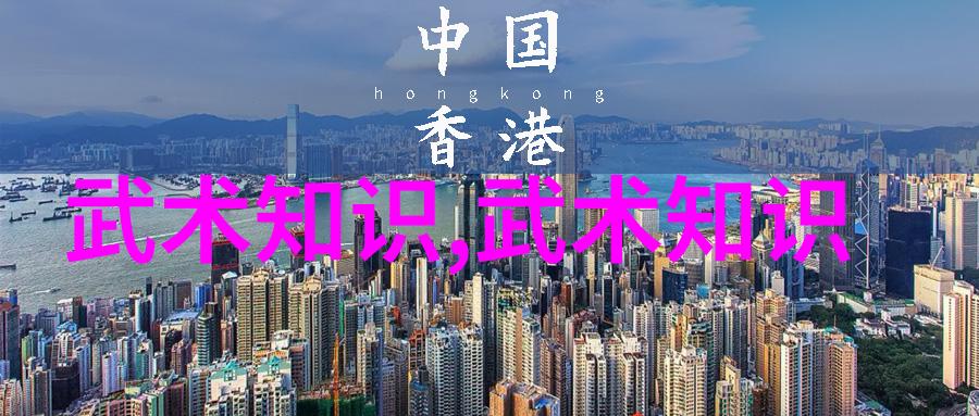 太極功夫中的内在力量重视每一个字的意义和用法