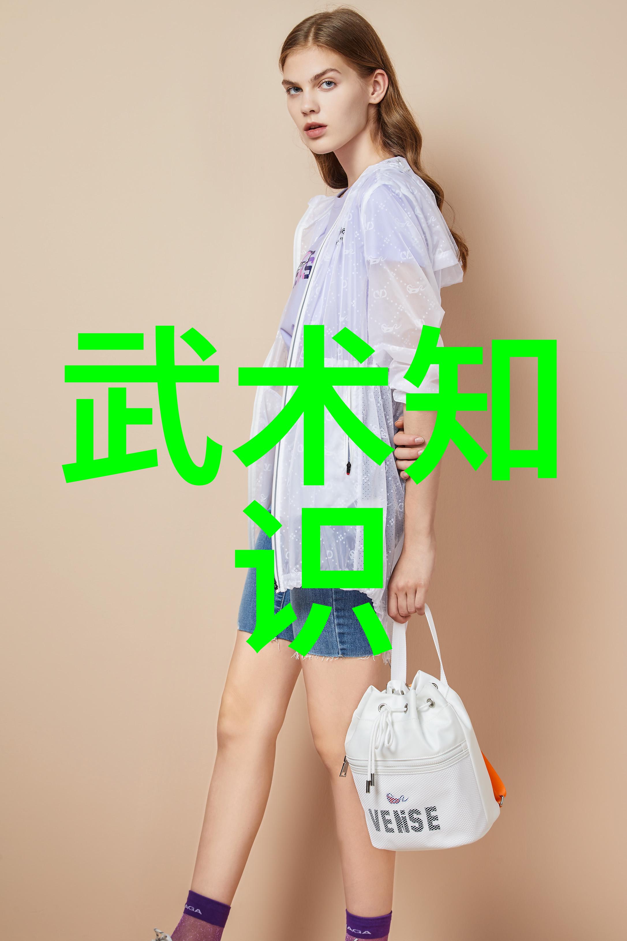 古风诗意帮派墨香江湖之梦
