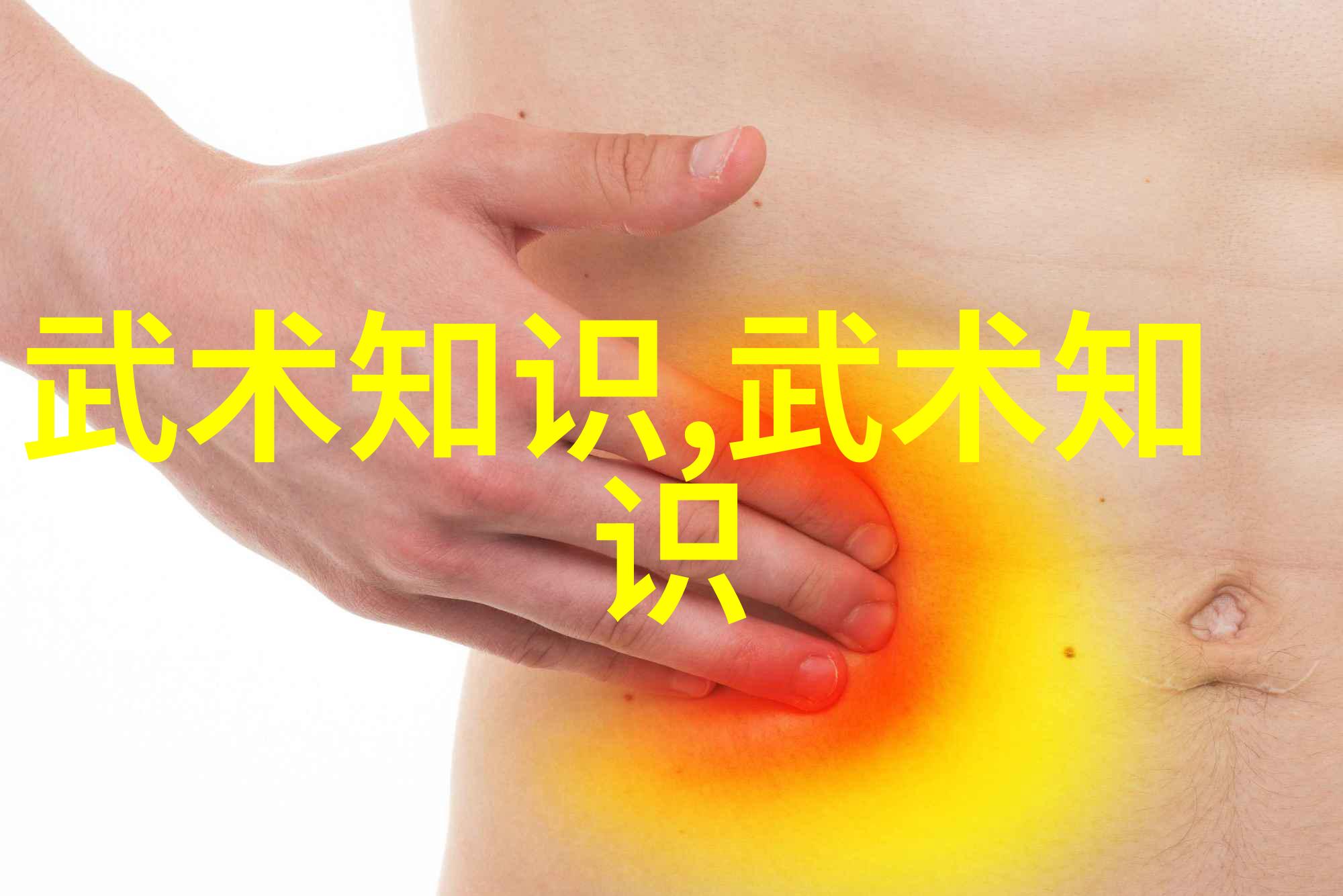 外家拳法探究武功秘籍大全的独特风格