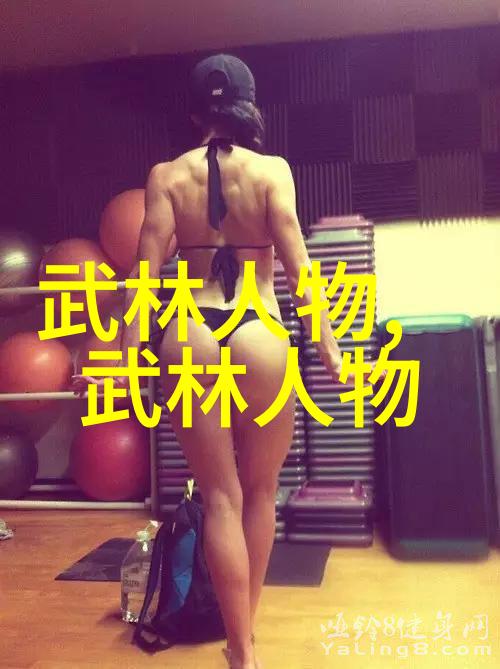 武功秘籍大全 拳法内家拳外家拳拳脚合流无形拳等
