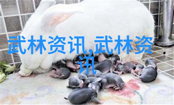 千斤神腿功