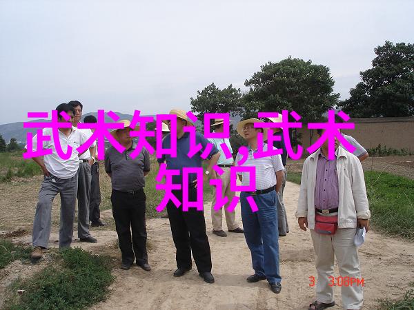 在传统与现代之间寻找平衡中国拳法发展了几大阶段
