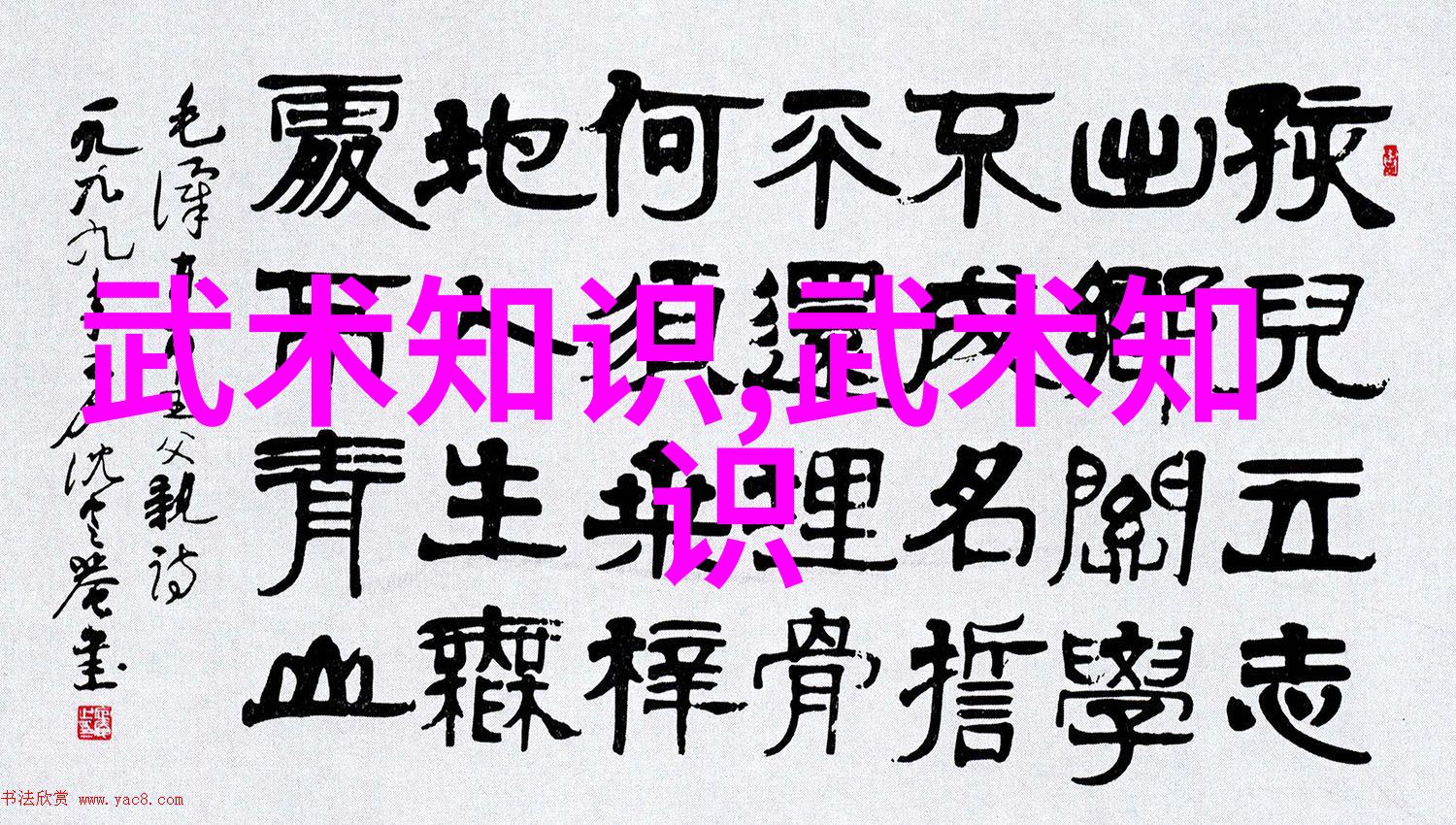 南拳和华拳哪个厉害-风起云涌南拳与华拳的对决