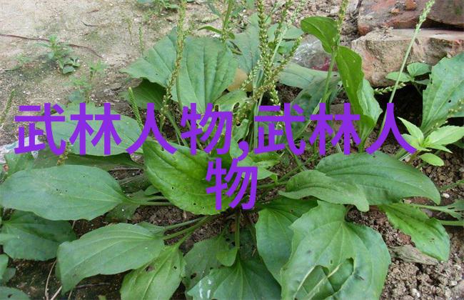 南拳和华拳哪个厉害咱们来一场看戏吧